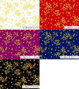 1i12mj018-AP55806-3`Civg ~