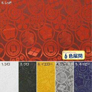 120105iS6Fj Te WJ[ha n z zn n _X 悳ߑ RXv ߑ Xe[Wߑ ߑn RX`[ 퍑  Ɩ P ̈  }XN Lbv J