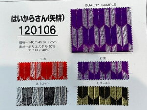 y{zTv P120106 ͂炳I