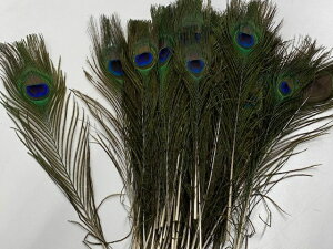 228-313 E H 1{H 1{P s[RbN Ⴍ t nhCh ߑ ߑ  nEB NX}X  RXv RX`[ @@@