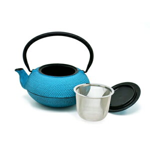 南部鉄器急須カラーアラレ0.6Lトルコブルー南部鉄/カラーポット/伝統工芸/ブルー/霰/ロジアソシエイツ/RojiAssociates【10P05Nov16】
