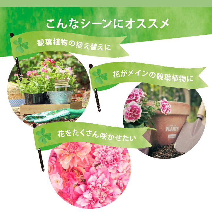 楽天市場 Evo 花がたくさん咲く土 5l ガーデニング用品 用土 培養土 家庭菜園 園芸 土 肥料 オーガニック肥料 観葉植物 室内植物 おしゃれ ギフト プレゼント 豊かな暮らしの道具店 のレン 楽天市場 Evo 花がたくさん咲く土 5l ガーデニング用品 用土 培養土 家庭菜園 園芸 土 肥料 オーガニック肥料 観葉植物 室内植物 おしゃれ ギフト プレゼント 豊かな暮らしの道具店 のレン