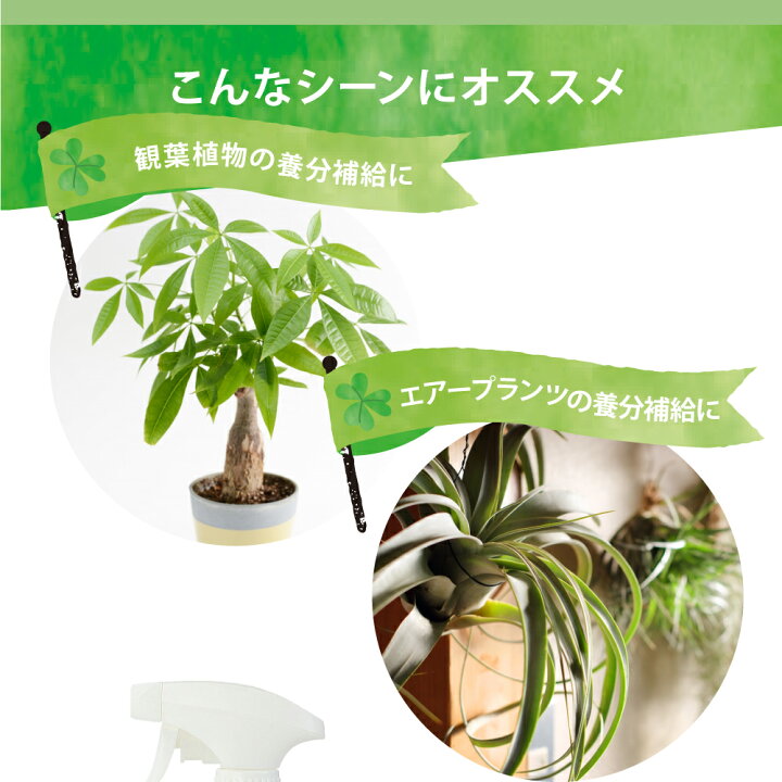 楽天市場 6 10までp2倍 Evo 観葉植物とエアプランツが元気に育つ水 300ml ガーデニング用品 肥料 活力液 活性剤 家庭菜園 園芸 植物 観葉植物 エアプランツ おしゃれ ギフト プレゼント のレン