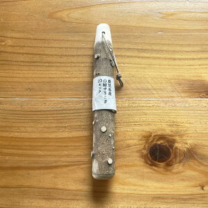 R肱23cm 쉮 肱_   Ӗ Ⴊ oW  Ƃ |egT_ Lb`c[