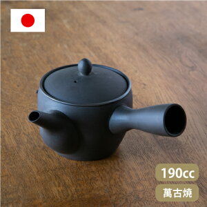 急須 北欧の人気商品 通販 価格比較 価格 Com