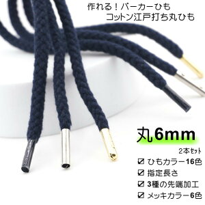 y2Zbgȏ20%OFFz p[J[R CR ȍ]ˑ Ht 2{Zbg ( ЂJ[16F H3 Iׂ钷 jȊۂЂ6mmvX`bNZ `^ eۃ^ bLJ[6 F