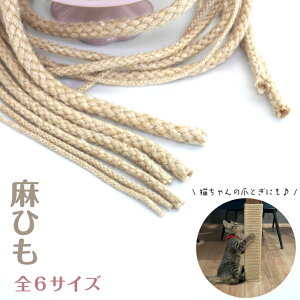 Ђ  S6TCY W[gR[h ɍ TCY  Jbg { RR[h i`