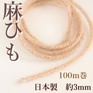 Ђ 3mmW[gR[h ɍ TCY 100m { RR[h i` HJ1000