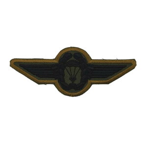 y500~|bLI݌ɌzA[~[ hJ AbvP WAPPEN WA-27