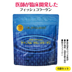 フィッシュコラーゲン サプリ コラーゲン ペプチド コラーゲンペプチド 粉末 フィッシュ 魚 低分子 低分子コラーゲン 高品質 フィッシュコラーゲン パウダー 高吸収 マリンコラーゲン 魚皮由来 ナチュラルマリンコラーゲン パウチ 顆粒 126g 6袋 セット ドクターウェルネス