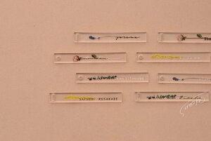 yȎDzԂƂ߂悤ȃl[v[g? STCY? 40Zbgy y[p[ ȎDz