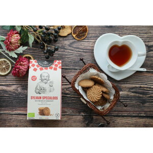 Oet[NbL[ LEVi y Mtg Hi َq mَqz