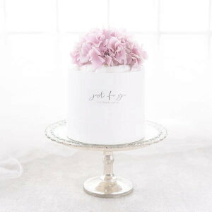 _Cp[P[L&݃Zbg(u[) y Mtg j j oYjz