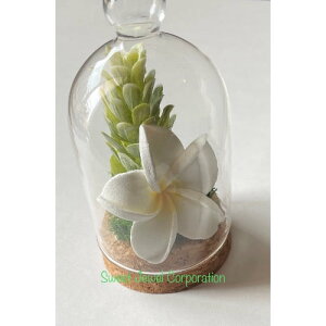 uHaaiivPi`ĂȂ&vA?yoMtgz