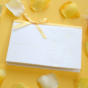 yTi Amoz ҏZbg()/OCXIW/ ҏy y[p[ ҏz