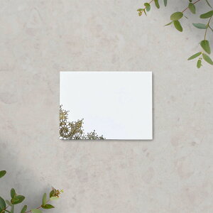 ȎDu\CuEvLbg|p[eB[yy[p[ȎDz