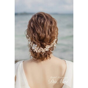 ywbhhXz}ANZT[ silver/gold ?uC_wbhhX? HV-19 y wAANZT[z