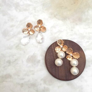 IWiiclover S[hsAX/uC_ANZT[ y sAX COz