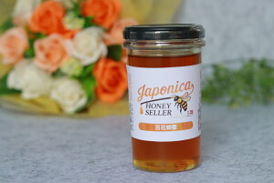 󏭁Ix100{݂΂̍YI ij