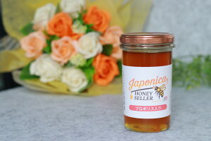 v|XŒ󏭁Ix100{݂΂̍YI() 250g