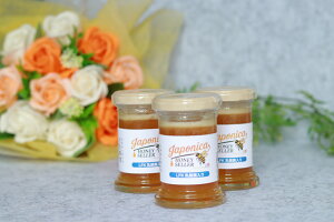 LFK_ۓŒ󏭁Ix100{݂΂̍YI ij 100g