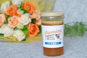 LFK_ۓŒ󏭁Ix100{݂΂̍YIij 250g