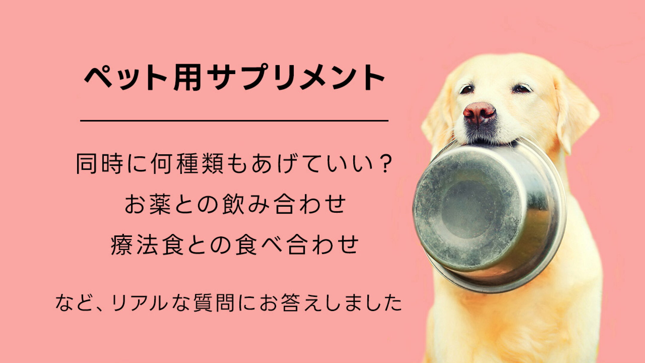 ペット用サプリメントは同時に何種類もあげていい？お薬との飲み合わせ・療法食との食べ合わせについてお客様からのリアルな質問にお答えしました。