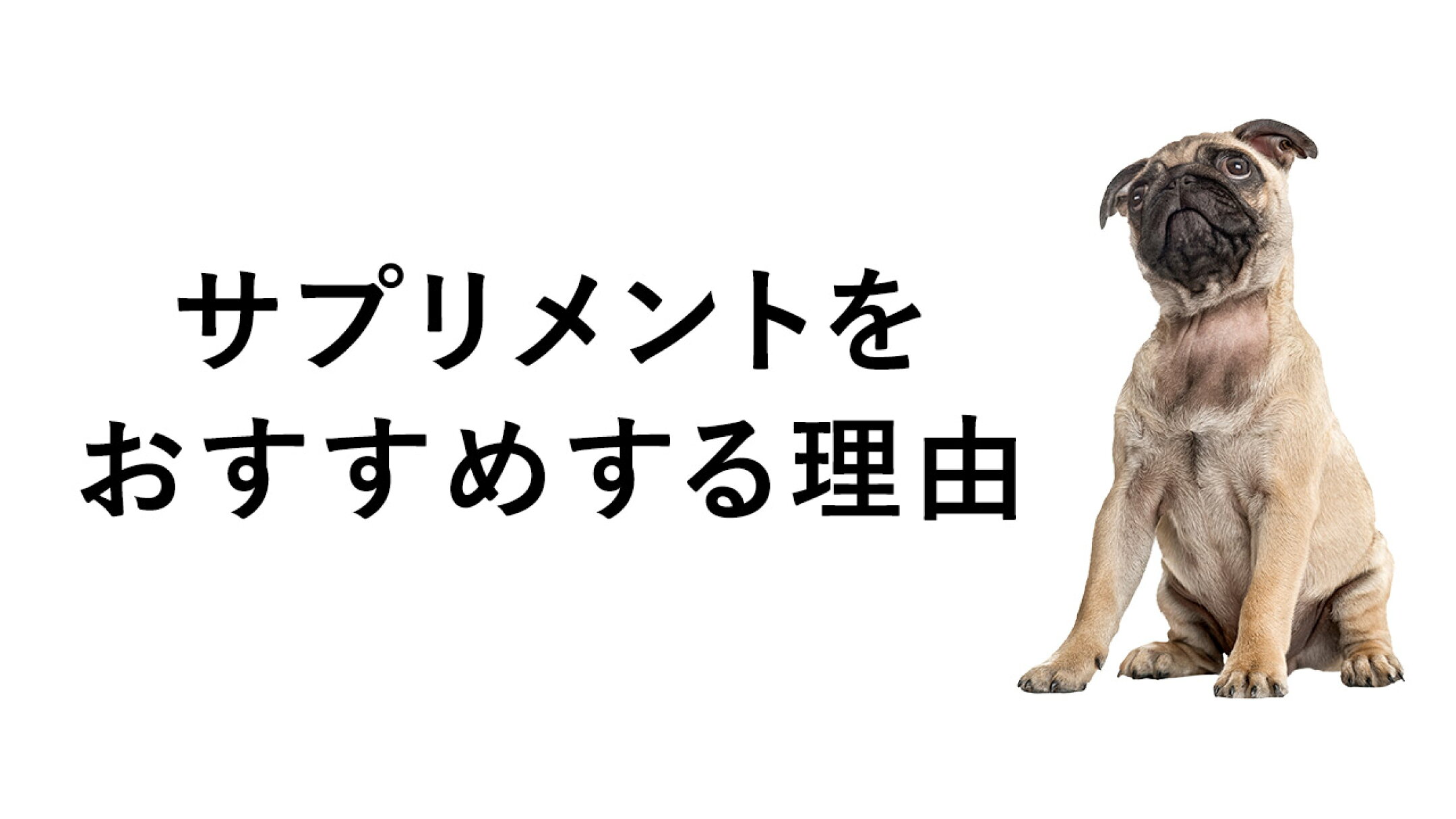 サプリメントをおすすめする理由
