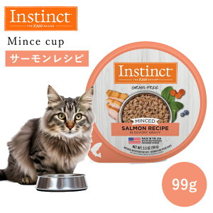 Lbgt[h ~` EFbg Instinct CXeBNg ~`Jbv T[ 99g Ki Lp L  gbsO h{ O[r[\[X h{⏕H ς ^pN O