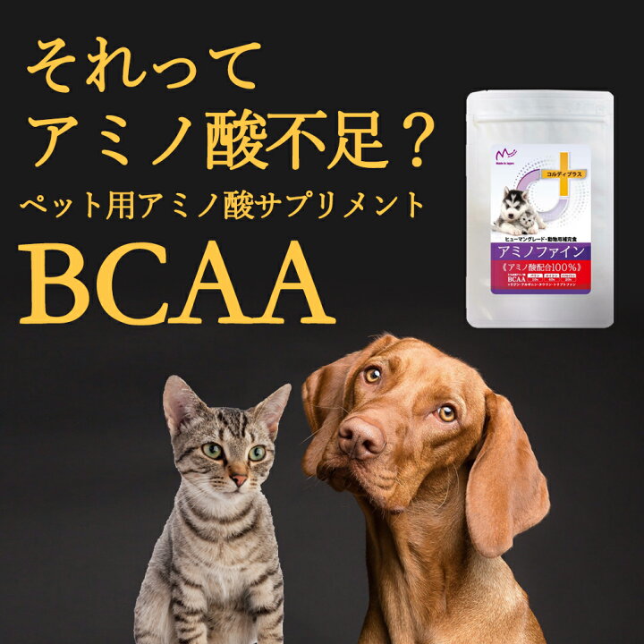 楽天市場】犬 猫 サプリ サプリメント アミノ酸 BCAA 腎臓 を守る 腎臓サポート 腎臓療法食 併用可 犬用 猫用 ペット用 うさぎ リジン タウリン タンパク質 たんぱく制限 筋力 筋肉 維持 <アミノファイン 100g> : 人とペットのサプリ専門店モノリス 楽天市場】犬 猫 サプリ サプリメント アミノ酸 BCAA 腎臓 を守る 腎臓サポート 腎臓療法食 併用可 犬用 猫用 ペット用 うさぎ リジン タウリン タンパク質 たんぱく制限 筋力 筋肉 維持 <アミノファイン 100g> : 人とペットのサプリ専門店モノリス
