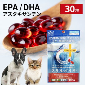 楽天市場 アンチ ノール 60 粒 ペット ペットグッズ の通販