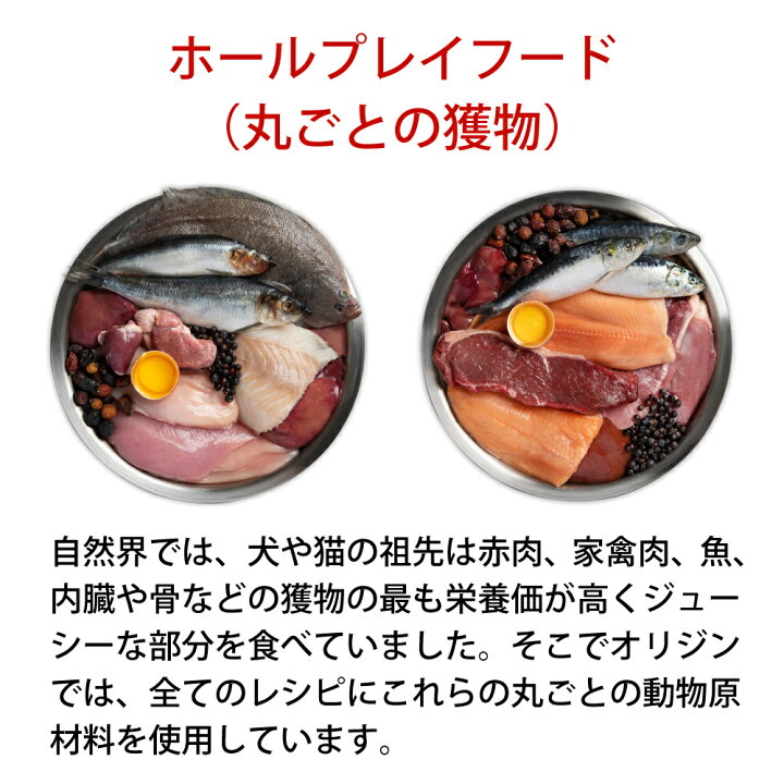 楽天市場】＼最大10%OFFクーポン！〜2/16 23:59／オリジン レジオナル 