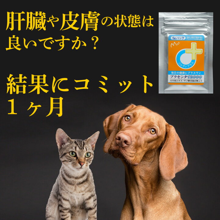 楽天市場 8 00 21 59 タイムセール 犬 猫 プラセンタ 犬用 猫用 サプリメント サプリ ペット用 肝臓の健康維持 シニア 皮膚 健康を守る 毛艶 毛並み ふさふさ ツヤツヤ ウサギ ねこ いぬ ネコ ペット 胎盤粉 ビール酵母 カキ肉エキス プラセンタ100 5g 人と