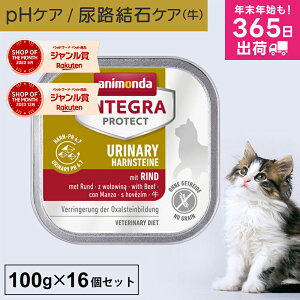 Aj_ L AH CeOveNg 100g 16Zbg AH AH A APA phPA pHRg[ VE_JVE Ö@H Lbgt[h EGbgt[h Lp lR 