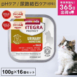 Aj_ L AH CeOveNg 100g 16Zbg AH AH A APA phPA pHRg[ XgoCg Ö@H Lbgt[h EGbgt[h Lp q lR 