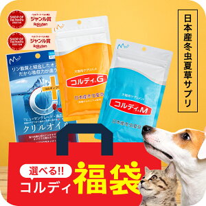 ybg p Lp  L Tvg Tv RfBG/M 30g EPA DHA IK3 NIC 30 Zbg  Nێ Ɖu Ɖu  ~đ V VL VjA  L̓