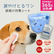 犬 ペット 涙やけ 涙焼け コットン 目ヤニ 目やに アイケア ふき取り ニオイ 対策 汚れ 鉄分 菌 目脂汚れ…
