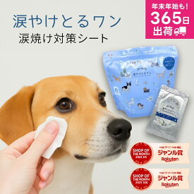 【涙やけ、諦めないで！】犬 ペット 涙やけ 涙焼け コットン 目ヤニ 目やに アイケア ふき取り ニオイ 対策 汚れ 鉄分 菌 目脂汚れ 口まわり 耳掃除 エタノールフリー パラベンフリー 個包装 日本製 国産 無添加 jgy