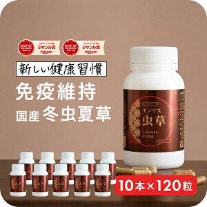 _X[p[SALE ʃN[|zzI^~đ Tvg Tv VjA Y ƊTv Ɗ Ɖu ێ j D  mXJvZ {Y ̓ NHi  X^~i