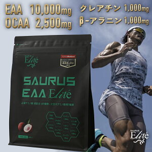 SAURUS EAA Elite (TEX EAA G[g)@EAA10,000mg+11ނ̃r^~+NG_z@OCAA2500mg@O^~1500mg@NA`1000mg@-Aj1000mg@x^C1500mg@ C`@600g  30 H 