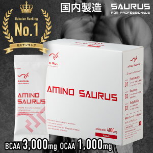 yԌ 10OFFzA~m_ pE_[ AMINO SAURUS yYz BCAA Tv K{A~m_ (XeBbN 70g(5g×14{)) Ij` AMj A~mTEX jO g[jO }\ 