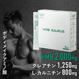 HMB SAURUS 165g（1本5.5g×30本） スマートなボディの追求HMB-Ca2000mg クレアチン1250mg L-カルニチン800mg マラソン ランニング フルマラソン 長距離ランナー ランニング 補給食 フル マラソン完走セット マラソン 補給食 バイク 補給食