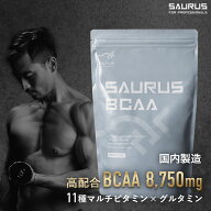 BCAA 【国産】500g オルニチン 必須アミノ酸 9種配合 BCAA 3000mg OCAA 1000mg 配合 アルギニン シトルリ…