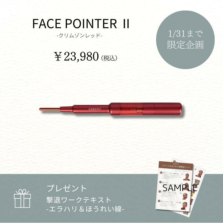 楽天市場】Face Pointer 2（クリムゾンレット）特別ワークテキスト 