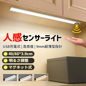 LEDZT[Cg  tbgCg eʓdr USB[d ^݌v @F 4500K 40cm/60cm iK _ ȃGl zsv 120°m͈ 3|5m h L  Lb` }Olb