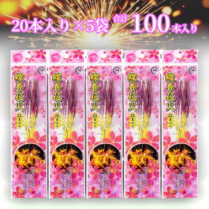 yv100{Izԉ΁wSx 20{ 5܃Zbg ()