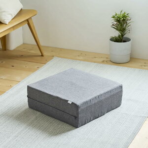 �y���ʌ�������zMIZUNO (�~�Y�m) �g�����|�����N�b�V���� ���N��� ����Œ��Ԃ��� �O���[ C3JHI203�@�_�C�G�b�g (60)