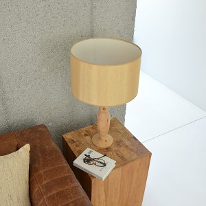 GEe[uCg90731 X^hCg Í Ö Q ԐڏƖ Ɩ@ tACg LED Ή Cg k Vv _ Ɩ Q rOp ԗp ubN