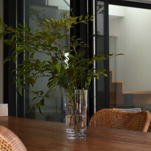  CeAA[gEKXx[X#03 t[x[X KX  fBXvC ԕr ֑} k G u KXr r 傫  R i` I[KjbN {^jJ