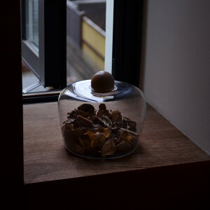  CeAA[gEKX{g#04 KXx[Xt[x[X KX  fBXvC ԕr ֑} k G u KXr r 傫  R i` I[Kj